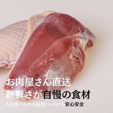 無添加 国産 手作り 鴨むね肉ジャーキー 低アレルゲン 犬猫用おやつ