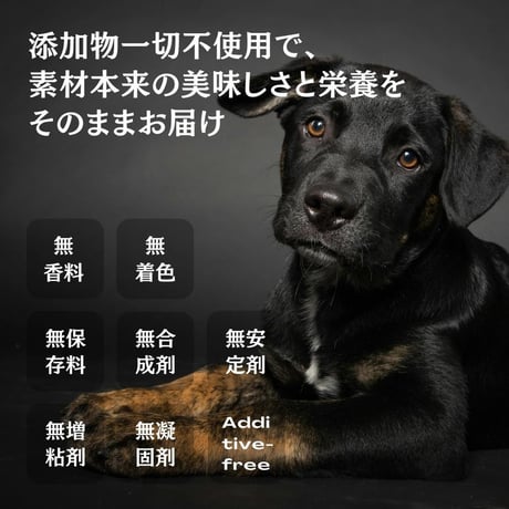 無添加 国産 鶏むね肉とブロッコリーのクリスプ（食物繊維）ペットおやつ