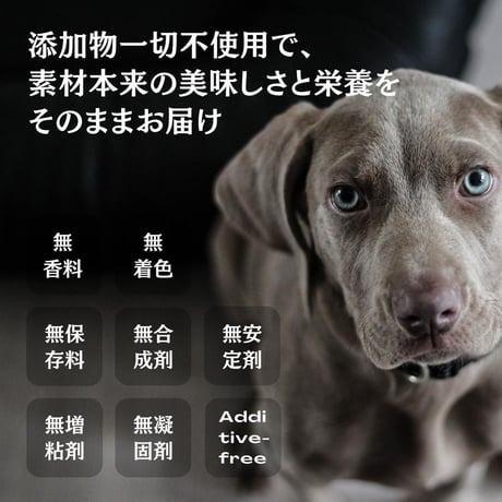 無添加 手作り 国産 鶏ささみ細切り ジャーキー ペットおやつ 犬猫用