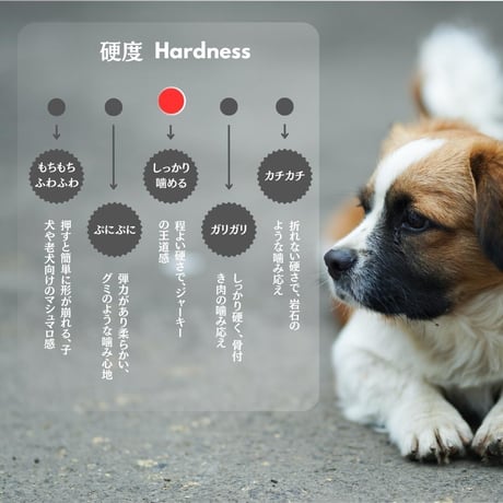 無添加 国産 鴨砂肝スライスジャーキー コリコリ 手作り ペットおやつ 犬猫用おやつ