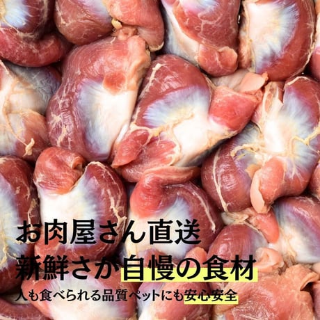 無添加 国産 鴨砂肝スライスジャーキー コリコリ 手作り ペットおやつ 犬猫用おやつ