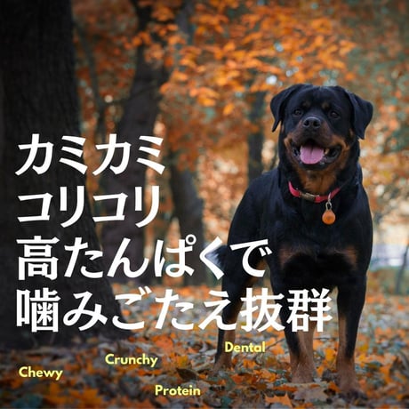 無添加 国産 鴨砂肝スライスジャーキー コリコリ 手作り ペットおやつ 犬猫用おやつ