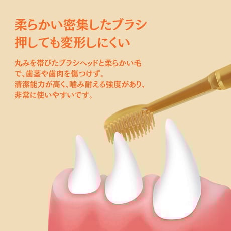ペット用シリコン歯ブラシ 舌クリーニングブラシ 収納ボックス付き 2本セット