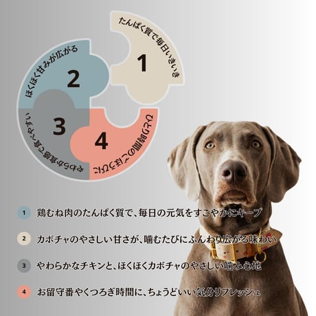 無添加 手作り 国産 鶏むね肉巻きかぼちゃ ジャーキー ペットおやつ