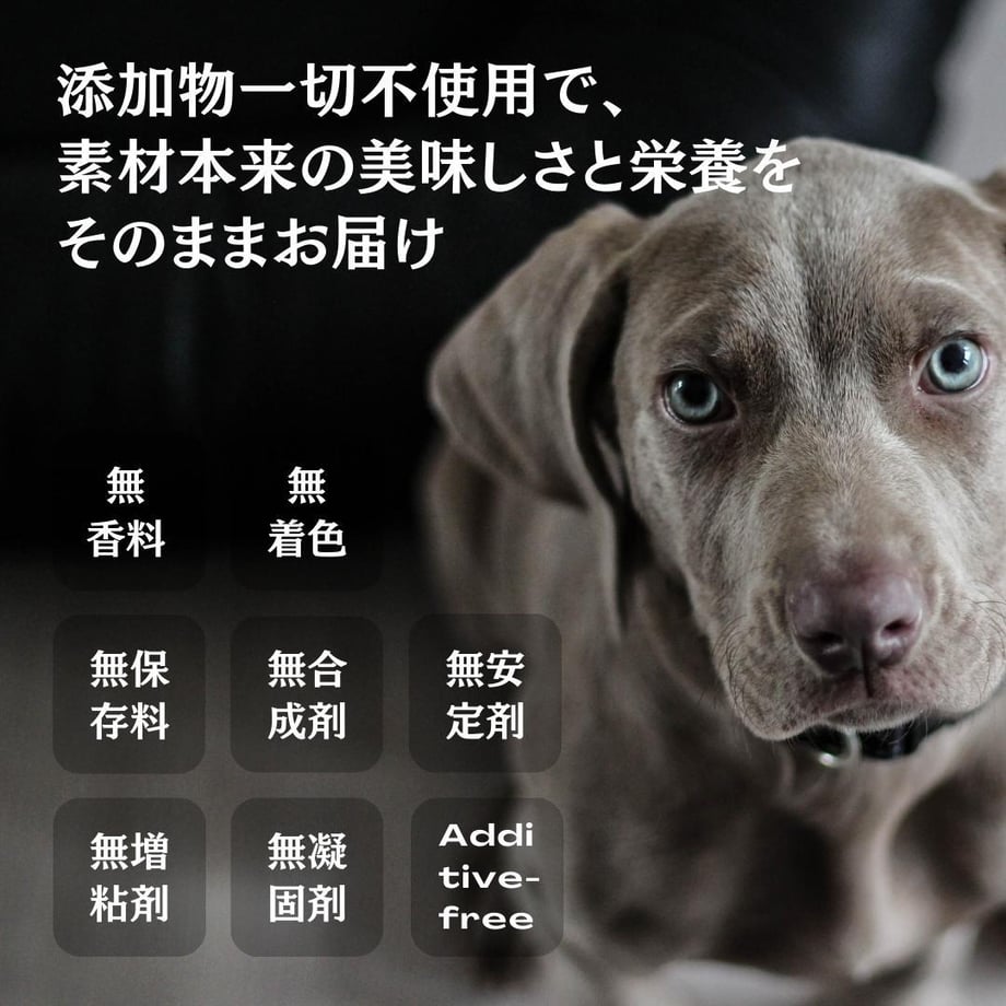 69dde02de99ff963bdc175dc