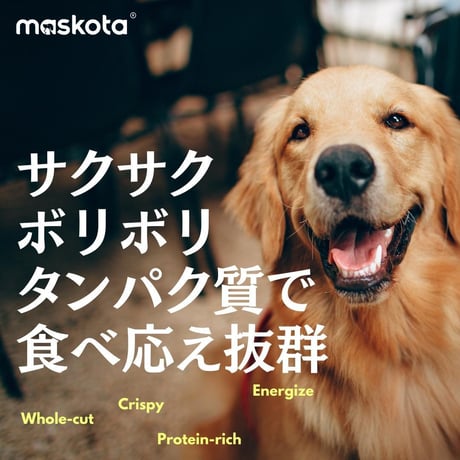 無添加 国産 鶏ムネ肉野菜 クッキー ジャーキー 犬猫 ペットおやつ 60枚