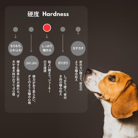 無添加 手作り 国産 鶏ささみ細切り ジャーキー ペットおやつ 犬猫用