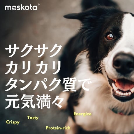 無添加 国産 鶏むね肉とブロッコリーのクリスプ（食物繊維）ペットおやつ