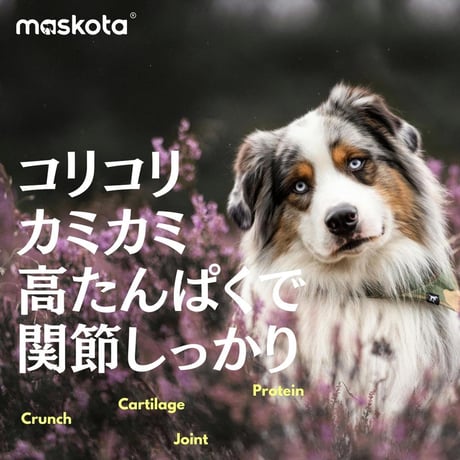 無添加 手作り 国産鶏ヤゲン軟骨 ペットおやつ ドライフード 犬猫用