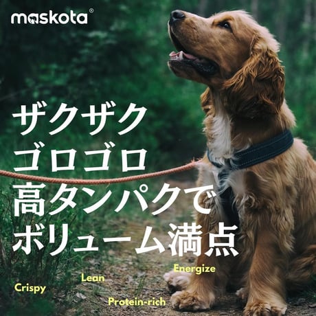無添加 国産 手作り 鴨手羽先ジャーキー 食べやすい骨付き ペットおやつ 犬猫用おやつ