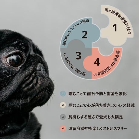 無添加 国産 手作り 鶏肉人参ペーストのオクラ詰め ペットおやつ