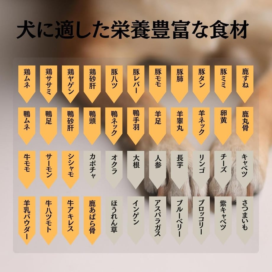 69e1bb4d191eb71697eaa90c