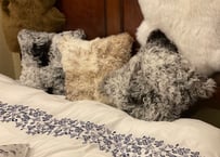 長毛ムートンクッション 45×45cm｜天然ムートン羊毛皮100%｜高級インテリアクッション