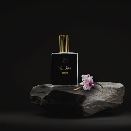 沈丁花 | STORES 沈丁花 | STORES
