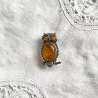 バルティックアンバー　ブローチ＆ペンダントトップ　オウル