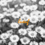 LUEUF
