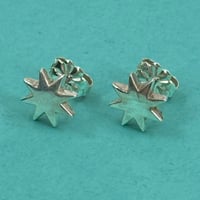 TIFFANY パロマ ピカソ サンスター イヤリング SV925