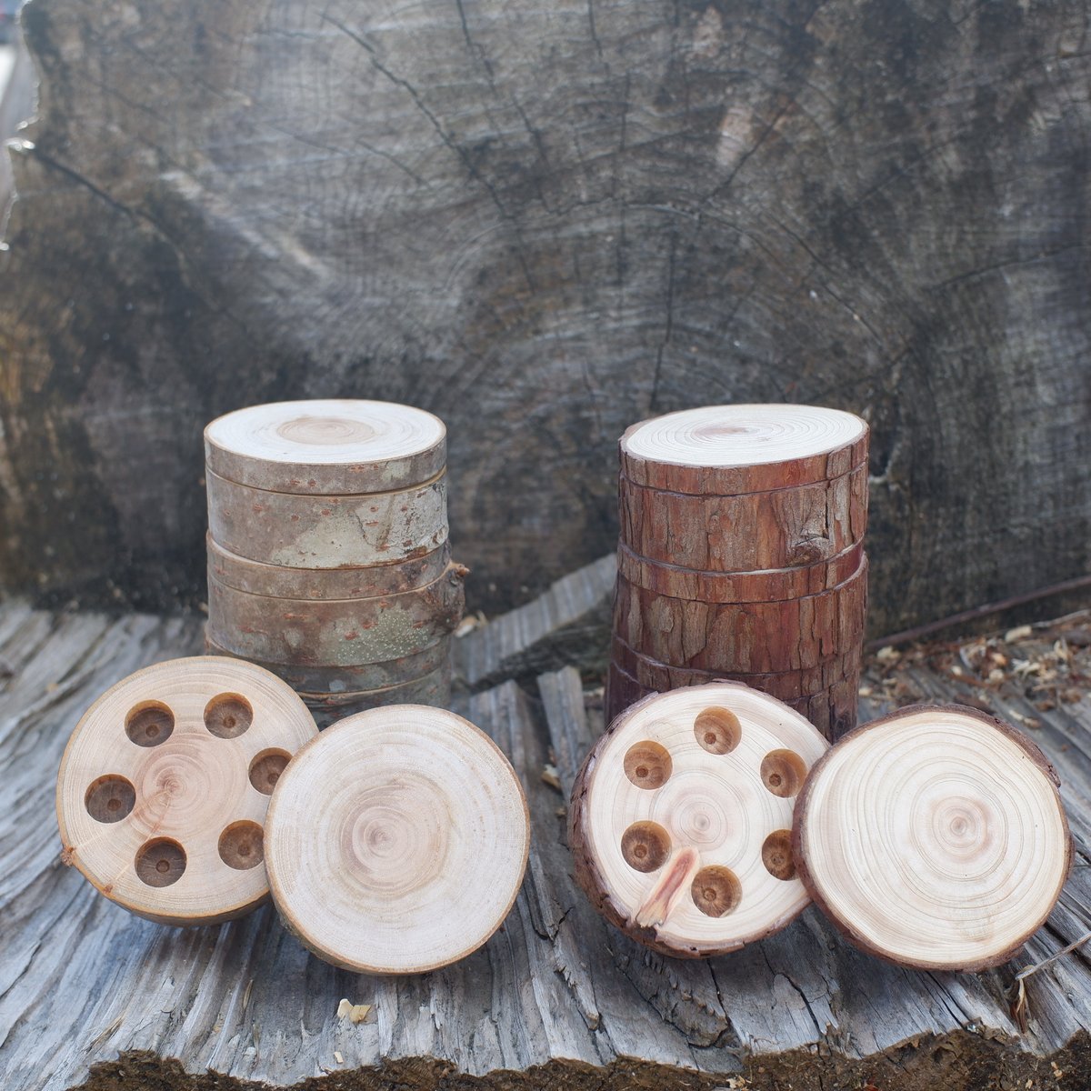 天然木製水彩パレット-hinoki05 | NJショップ