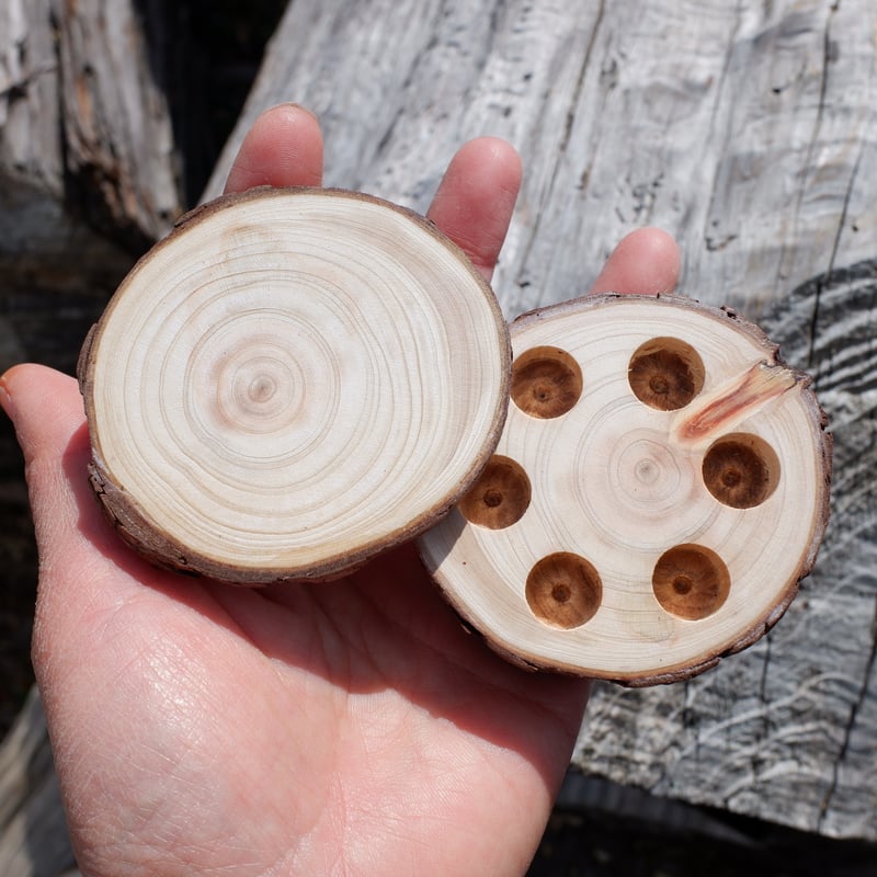 天然木製水彩パレット-hinoki05 | NJショップ