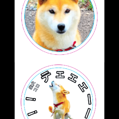 ❤️さくら様3点⭐柴犬柄⭐3段ラック・コロコロ❤️--179・180・182 最初の破壊動画になります。 続きは YouTubeさくらこちゃんねる