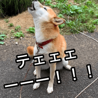 柴犬コロ 夕焼け小焼けで日がくれ…テェェェーーー！！！ ショートバージョン 15秒