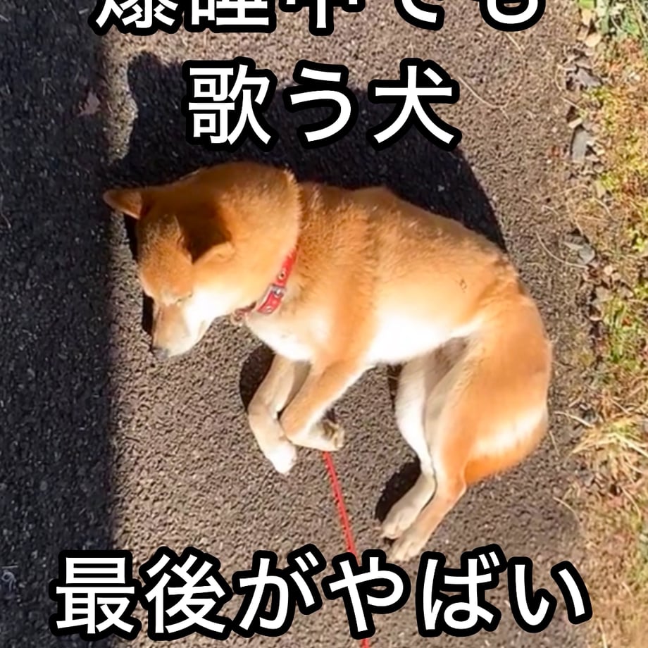 69466aee9b4c19fb0df2a386