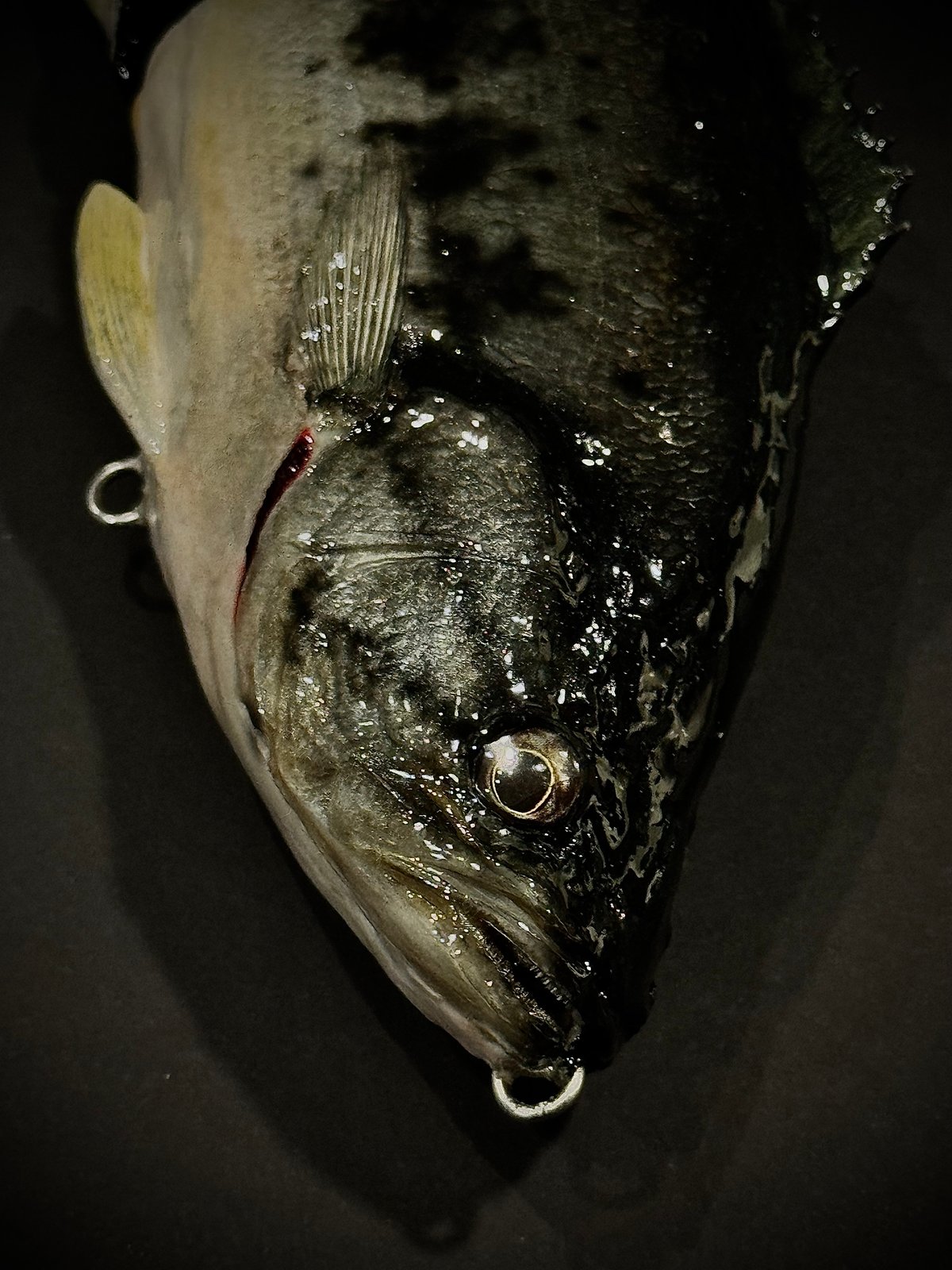 Swimming Dead “Large Mouse Bass” 魚皮ジャイアントベイト |