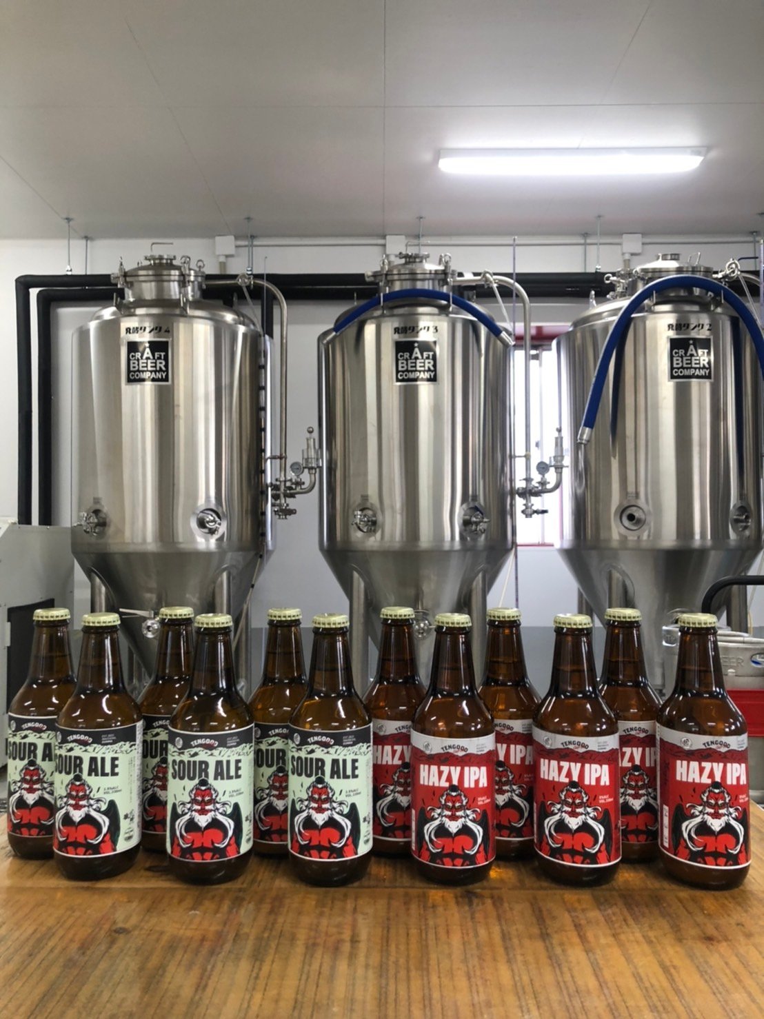 Hazy IPA（ヘイジ―アイピーエー）、Sour Ale（サワーエール）各6本 12本セット...