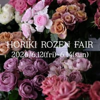 horiki rose bouquet L size