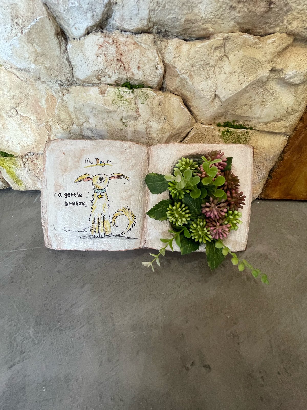 楽天市場】鉢 大型 モルタルの通販 肉球型 モルタル鉢 ブラック 単品