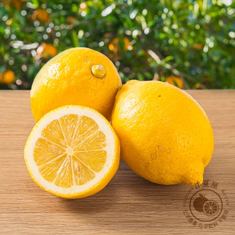 ITEM | 甘夏屋 平山農園 通販サイト｜三重県尾鷲市の自然の恵み