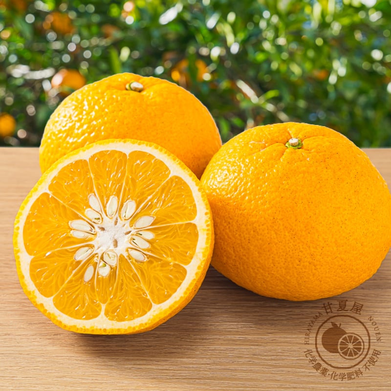 小箱】甘夏屋 有機甘夏果実【送料無料】 | 甘夏屋 平山農園 通販サイト