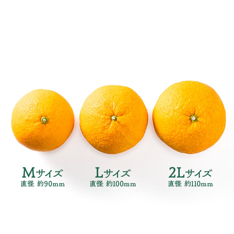 大箱】甘夏屋 甘夏果実【送料無料】 | 甘夏屋 平山農園 通販サイト