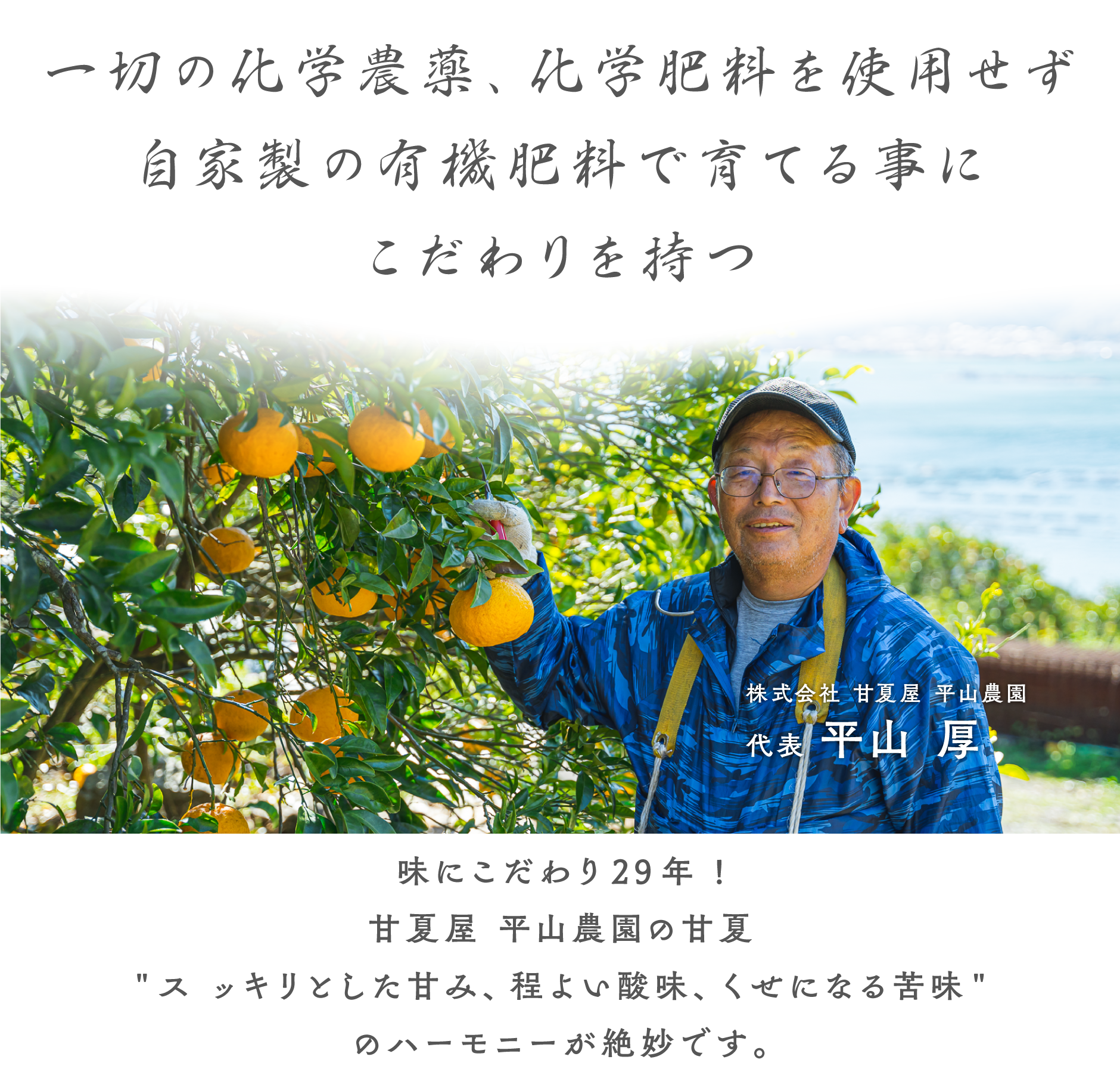 甘夏屋 平山農園 通販サイト｜三重県尾鷲市の自然の恵み オーガニック