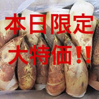 合馬たけのこ 13本 2kg 福岡県産 福岡県北九州市 合馬産 生タケノコ 2kg | 筍菜