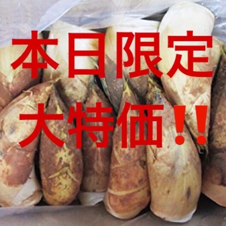 タケノコ | STORES タケノコ | STORES