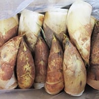 福岡県産タケノコ 20本 2kg 福岡県北九州市 合馬産 生タケノコ 2kg | 筍菜