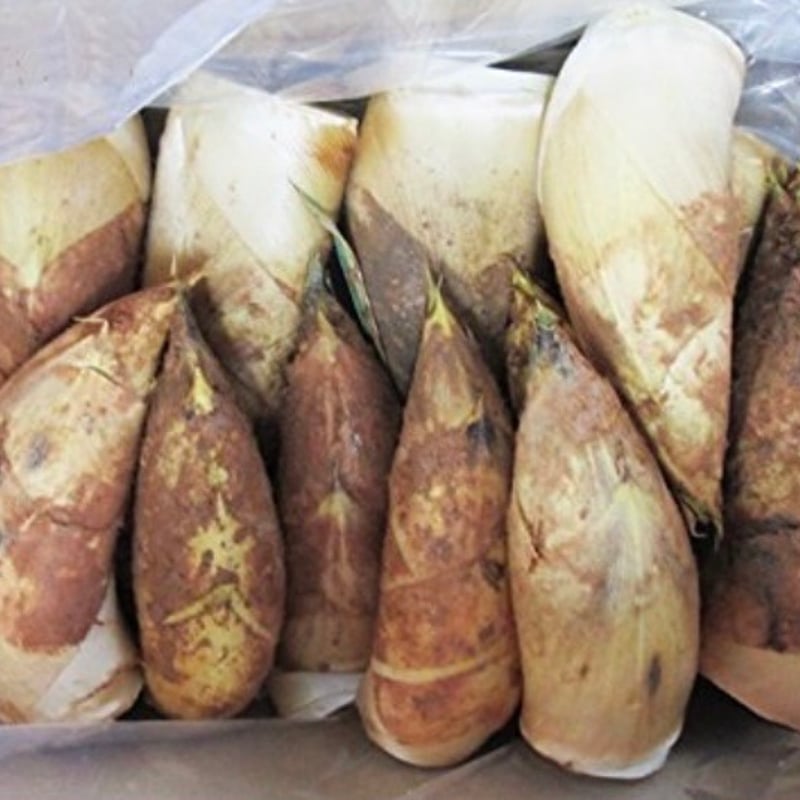 合馬 タケノコ 15本 2kg Sサイズ 福岡県北九州市 合馬産 生タケノコ 2kg | 筍菜