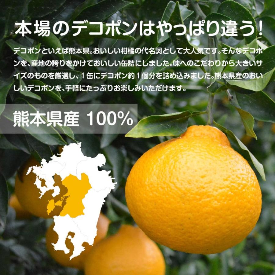 専用ページ熊本県産　デコポン　20k 専用ページ熊本県産 デコポン 20k 楽天市場】デコポン 熊本の通販