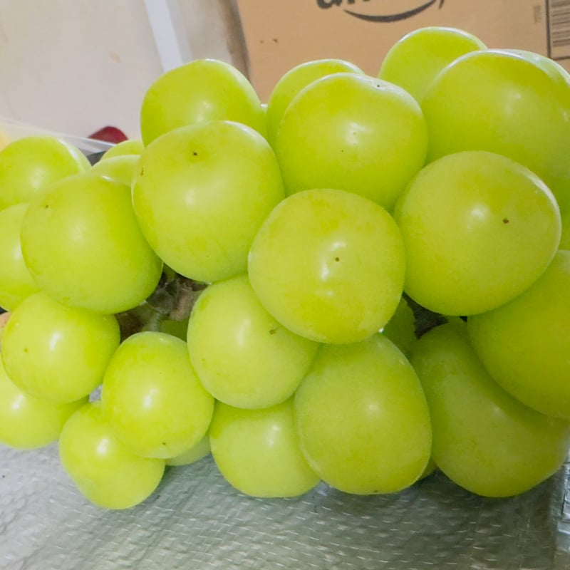 マスカット 楽天市場】岡山産 たねなし シャインマスカットぶどう 【晴王