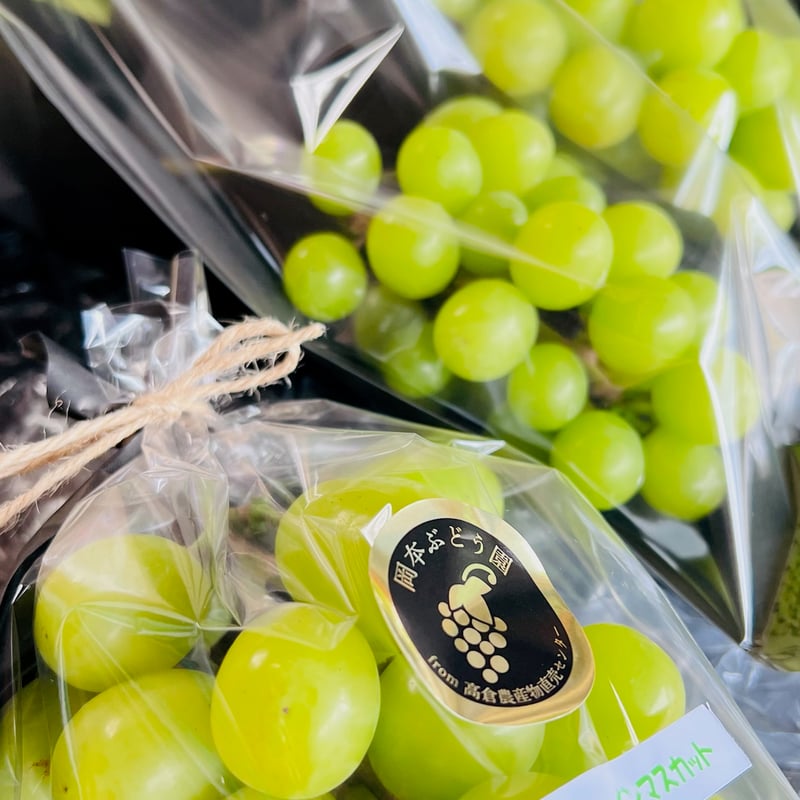 ぶどう シャインマスカット1房 BKシードレス1房 約1キロ | （株）高倉
