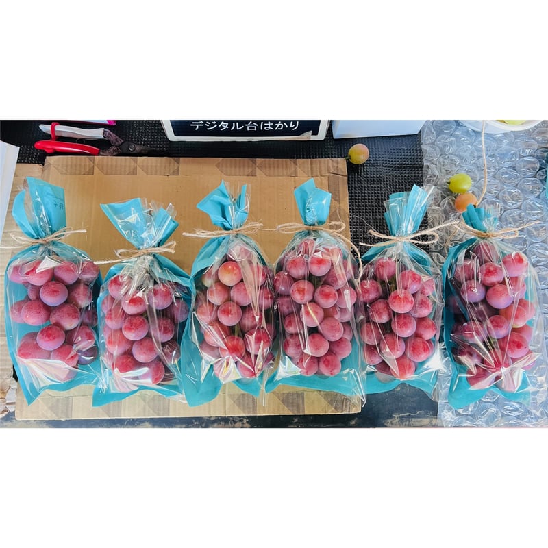 ぶどう BKシードレス 2房 約1キロ | （株）高倉農産物直売センター