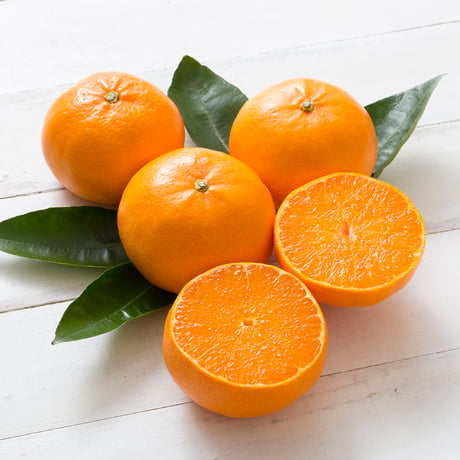 【柑橘の大トロ】とろりとろける甘さ　せとか3kg（送料込み）　2月より受付開始