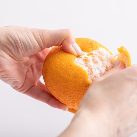 【甘みと酸味】太陽の恵たっぷり　でこぽん3kg(送料込み）　2月より受付開始