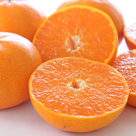 【柑橘の大トロ】とろりとろける甘さ　せとか3kg（送料込み）　2月より受付開始