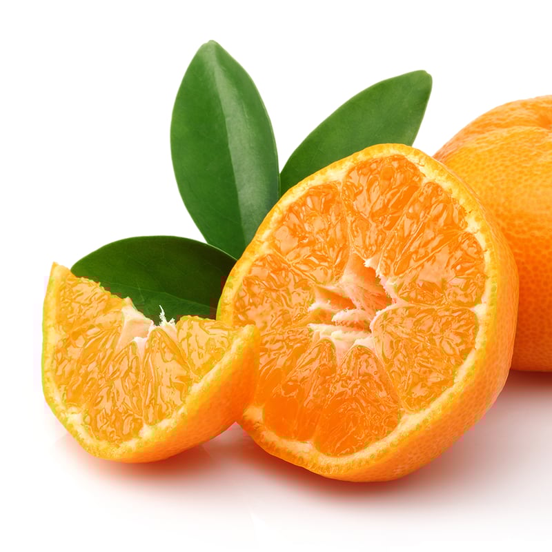 希少価値】甘くて美味しいみかん 石地みかん5kg 11月より受付開始