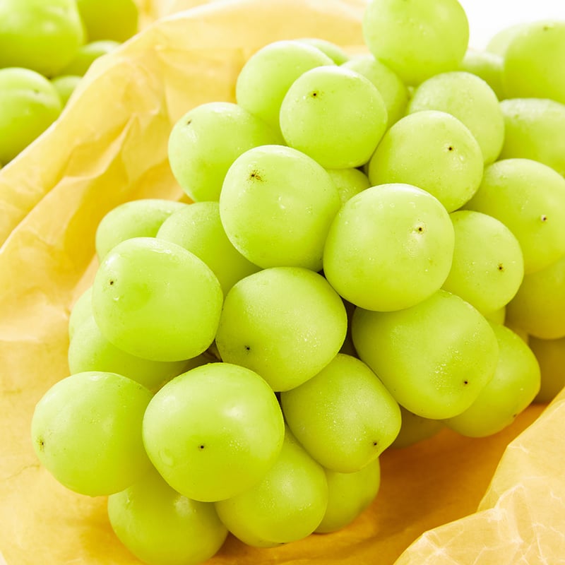 輝く黄緑の宝石 岡山県産シャインマスカット(300g～500g) 3～4房程度