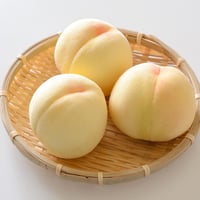 【数量限定30箱】　岡山県産おかやま夢白桃　大玉５～７玉(少々訳あり)