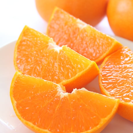 【柑橘の大トロ】とろりとろける甘さ　せとか3kg（送料込み）　2月より受付開始