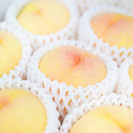 【数量限定30箱】　岡山県産おかやま夢白桃　大玉５～７玉(少々訳あり)